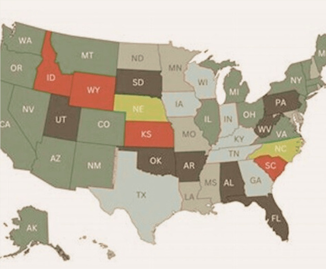 How to Find and Train Professional Cannabis Trimming Experts in the Industry